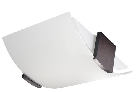 Plafon EMILIO + 2x Żarówka LED E27 4000K Zimna 7,5W 650lm