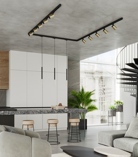 Lampa sufitowa/wisząca, 13 punktowa,  system szynowy 3 fazowy, TIVA/MOZICA