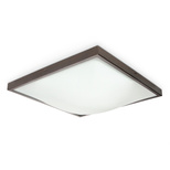 Plafon STUDIO 40 Wenge